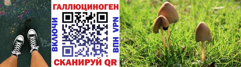 блэк спрут как войти  Барнаул  Галлюциногенные грибы мухоморы  как найти  
